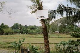 Andreas Nader, Basketball