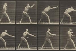 adweard Muybridge | Striking a blow with right hand (Modell: Ben Bailey), aus “Animal Locomotion”, 1887  Stiftung Ann und Jürgen Wilde, Pinakothek der Moderne München