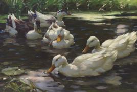 Enten im Teich Alexander Köster, Neustadt 1864-1932 Mücnhen Öl auf Leinwand Maße: 46,5 x 73 cm Signiert Angeboten von Kolhammer & Mahringer, Wien