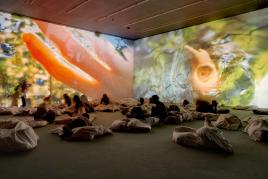 Pipilotti Rist, Worry Will Vanish Horizon, 2014 Audiovisuelle Installation, Musik von Anders Guggisberg Installationsansicht, Hauser & Wirth, London, 2014 Foto: Alex Delfanne, Courtesy the artist, Hauser & Wirth and Luhring Augustine