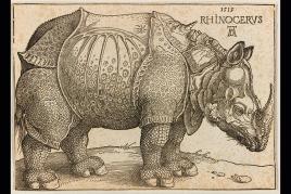 Albrecht Dürer, The Rhinocerous (B. 136; M., HOLL. 273).