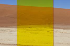 Viviane Sassen, Yellow Vlei, 2014 C-print, 150 x 140cm © Viviane Sassen