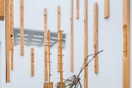 Blick in die Ausstellung „Giuseppe Penone“ (13.04.2019 - 28.06.2020) in der Modernen Galerie des Saarlandmuseums in Saarbrücken © VG Bild-Kunst, Bonn 2019 Foto: Oliver Dietze/Stiftung Saarländischer Kulturbesitz