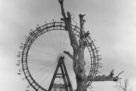 Das Wiener Riesenrad 1945 – © Okamoto / ÖNB