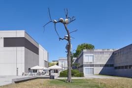 Giuseppe Penone, Idee di pietra-1891 Kg di luce © Giuseppe Penone, VG Bild-Kunst Bonn, 2020, Foto: Tom Gundelwein / Stiftung Saarländischer Kulturbesitz.