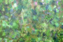 Bild 18: Carla Chlebarov, Green Woods, Acryl auf Nessel, 2020, 100&100 cm.1.500 €