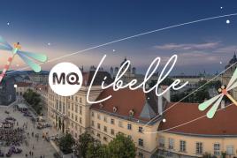 Die MQ Libelle landet