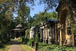 Jüdischer Friedhof in Berlin-Weißensee © Julia Bierbüße/Heinrich-Hertz-Gymnasium