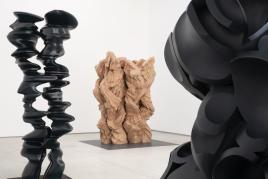 Tony Cragg