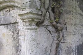 Blick auf ein Detail auf dem Johannisfriedhof in Jena * Foto: Deutsche Stiftung Denkmalschutz