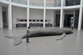 Rotundenprojekt der Staatlichen Graphischen Sammlung 2022 | Part I  The Cast Whale Project | Gil Shachar  Foto: Gunnar Gustafsson, Staatliche Graphische Sammlung München  © VG Bild-Kunst, Bonn 2021