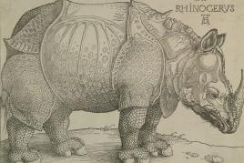 Albrecht Dürer, Rhinoceros, 1515