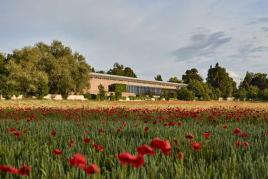 Die Fondation Beyeler im Sommer  Foto: Mark Niedermann