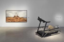 Ausstellungsansicht "Julius von Bismarck. When Platitudes Become Form", Berlinische Galerie © VG Bild-Kunst, Bonn 2023, Foto: Roman März