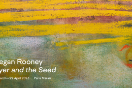 Megan Rooney Flyer and the Seed