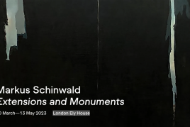 Markus Schinwald Extensions and Monuments