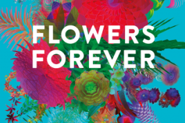 Plakat Flowers Forever