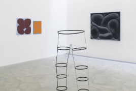 Ansichten aus der Ausstellung (c) Günter König