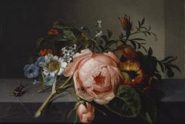 Rachel Ruysch: Stillleben mit Rosenzweig, Käfer und Biene, 1741 Kunstmuseum Basel, Schenkung der Prof. J.J. Bachofen-Burckhardt-Stiftung 2015