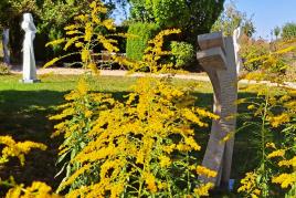 Spätsommerliche Eindrücke aus unserem Skulpturengarten Die oberen beiden Bilder mit Skulpturen von Frank Teufel. Das untere Bild mit einer Eisenplastik von Bernhard Müller-Feyen.