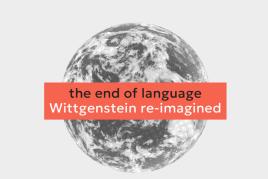 Wittgenstein re-imagined