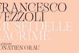 Francesco Vezzoli Musei delle Lacrime  Visita il Museo Correr