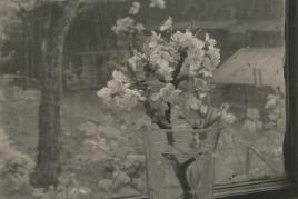 Josef Sudek o.T. (Okno Meho Atelier/ Das Fenster meines Ateliers), 1944–1953, Gelatinesilber-Kontaktabzug, 21,1 × 20,8 cm White Rose Bud, 1954, Silbergelatineabzug, 19,2 × 13,6 cm