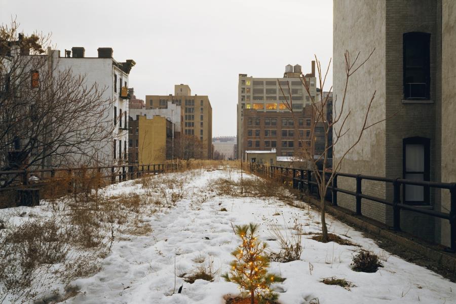 Joel Sternfeld  Ken Robson's Christmas Tree, January 2001 © Courtesy of the artist, Luhring Augustine, New York and The Friends of the High Line, New York.