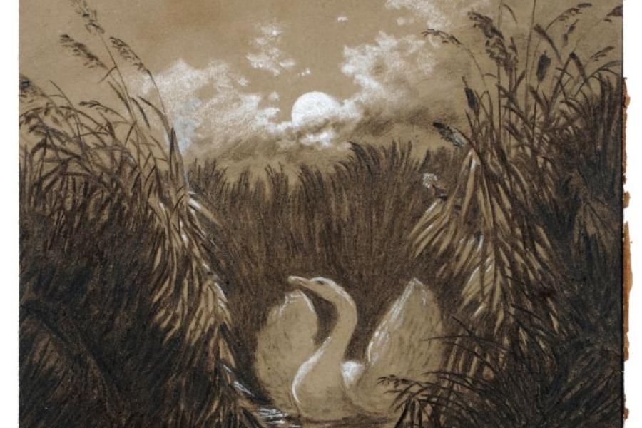 162  Carl Gustav Carus, Flügelschlagender Schwan im Schilf bei Mondlicht. 1852.  Kohlestiftzeichnung auf gelblichgrauem Papier, partiell weiß und grau gehöht. Vollflächig auf dünner Malpappe montiert. Mit einem klebemontiertem Papieretikett u.re. versehen, darauf handschriftlich signiert "Carus" datiert und bezeichnet "Zum 11. Sept(em)be(r) 1852." Hinter Glas in einer einfachen schwarzen Leiste gerahmt. Bl. 22,8 x 19,4 cm, Ra. 24,4 x 20,3 cm.			6000 €