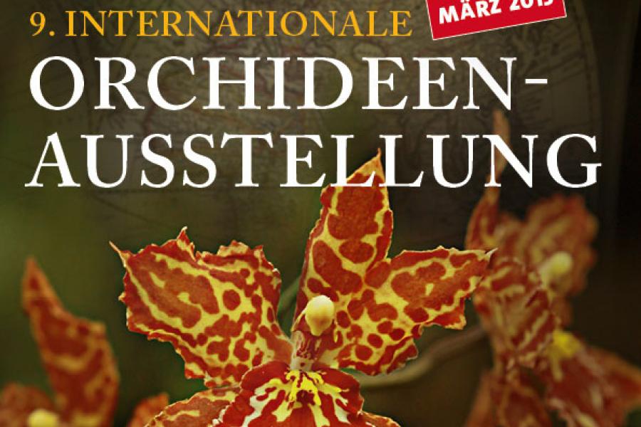 Orchideenausstellung 2013