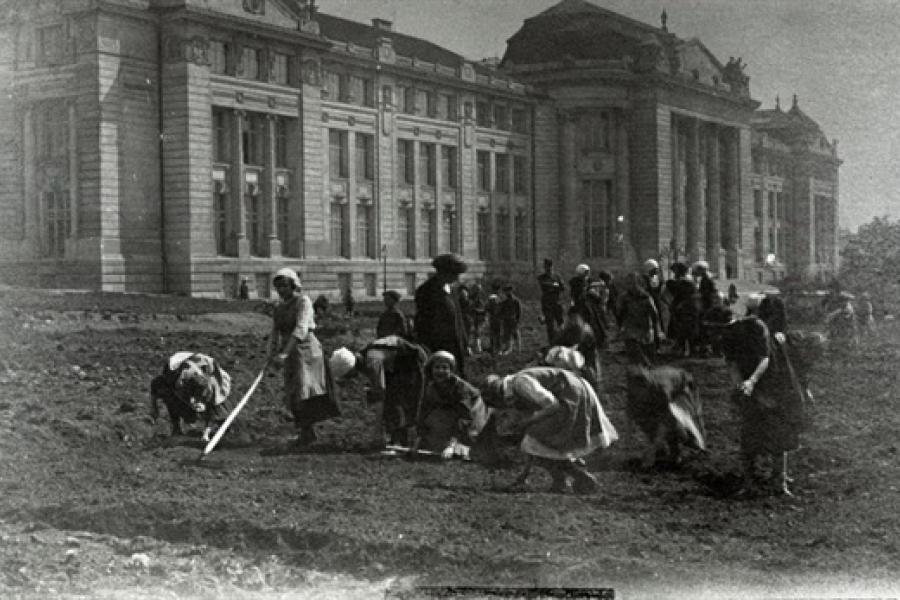 Kartoffelernte vor dem Technischen Museum Wien Aufgrund des Mangels an Lebensmitteln wurden sämtliche Freiflächen genutzt, um Gemüse anzubauen.