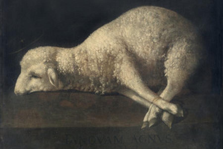 Francisco de Zurbarán, Agnus Dei, 1639, Öl auf Leinwand, 47,6 × 55,9 cm, Museo de la Real Academia de Bellas Artes de San Fernando, Madrid, © Museo de la Real Academia de Bellas Artes de San Fernando, Madrid, Foto: Hélène Desplechin. Museo Thyssen Bornemisza