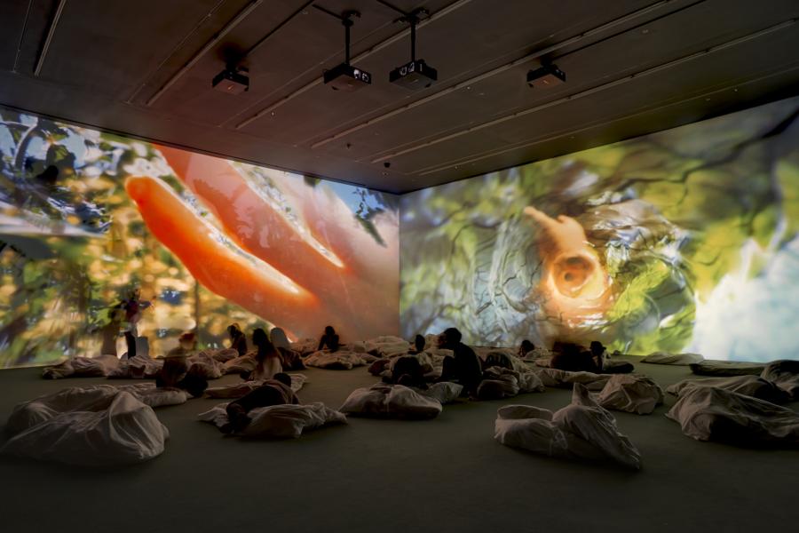 Pipilotti Rist Worry Will Vanish Horizon, 2014 Audio-Video-Installation Musik von Anders Guggisberg Installationsansicht Hauser & Wirth, 'Worry Will Vanish', London, England (2014) Foto: Alex Delfanne Courtesy die Künstlerin, Hauser & Wirth und Luhring Augustine