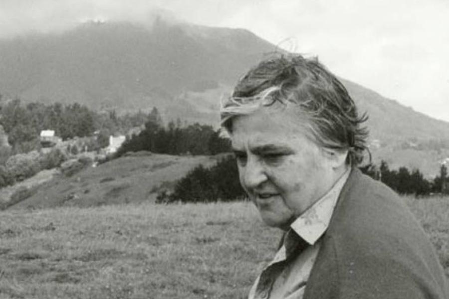 Etel Adnan Foto: Simone Fattal