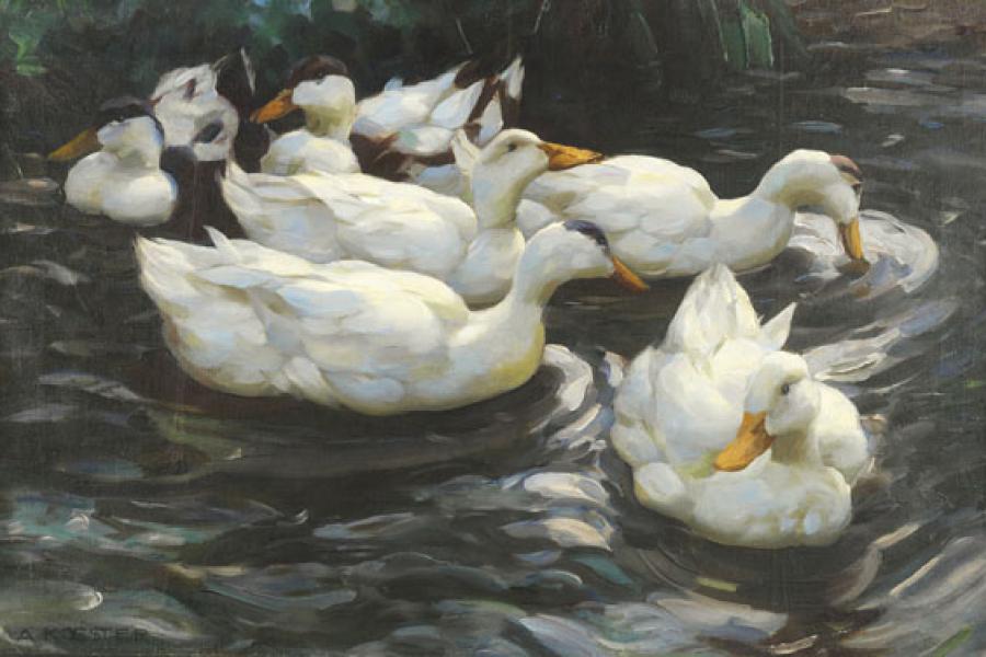 91 ALEXANDER KOESTER Sechs Enten im Wasser, Ca. 1900-1905. Öl auf Leinwand Schätzpreis: € 18.000