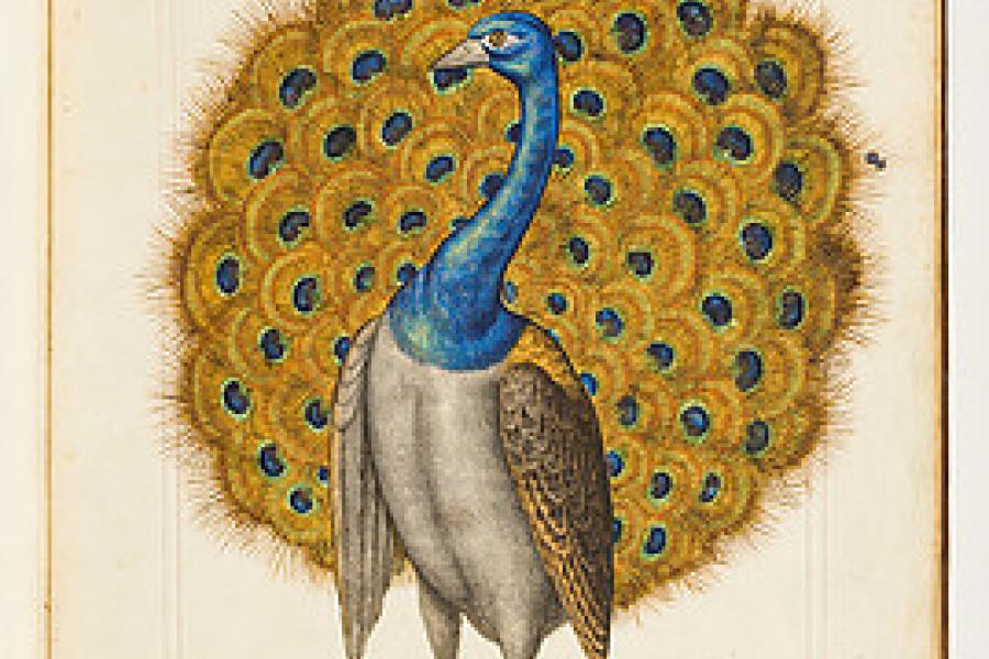 Librairie Thomas-Scheler This stunning piece is one of multiple depictions of beautifully rendered exotic birds, done by Pierre Gourdelle. The folio contains 50 sheets depicting 60 European & Exotic birds. Each watercolor is accented with gilt and richly decorated.