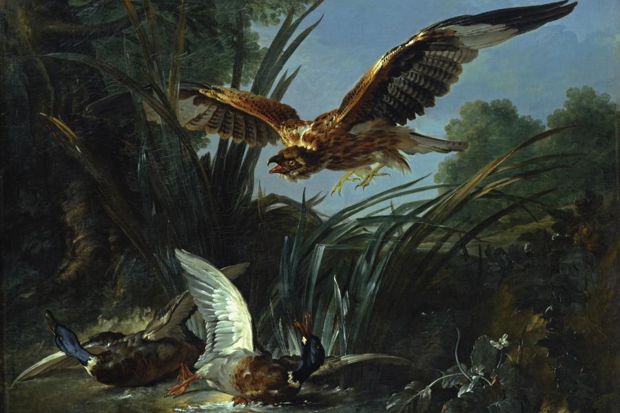 Jean-Baptiste Oudry, Raubvogel, der zwei Enten angreift (c) Staatliche Schlösser, Gärten und Kunstsammlungen Mecklenburg-Vorpommern