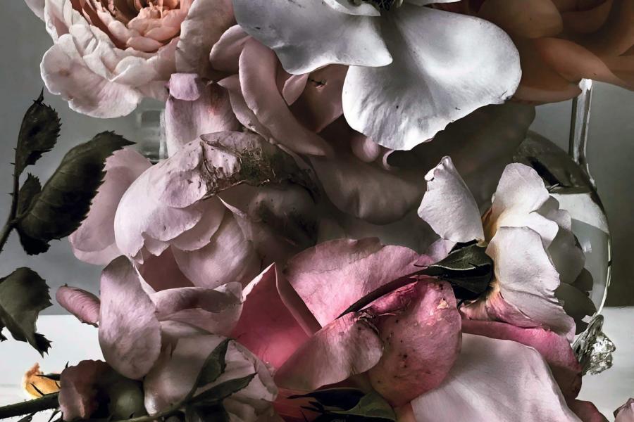 NICK KNIGHT Saturday 1st June, 2019 2019 Roses from my garden 208.2 x 163.1 cm Hand-coated pigment print © Nick Knight, Courtesy of the artist and Albion Barn