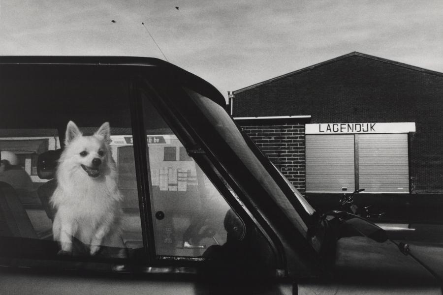 Sibylle Bergemann, Niederlande, 1986 © Estate Sibylle Bergemann/OSTKREUZ. Courtesy Loock Galerie, Berlin