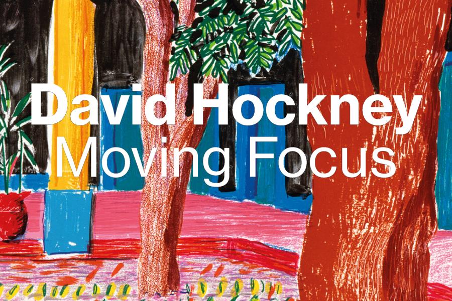 David Hockney Moving Focus