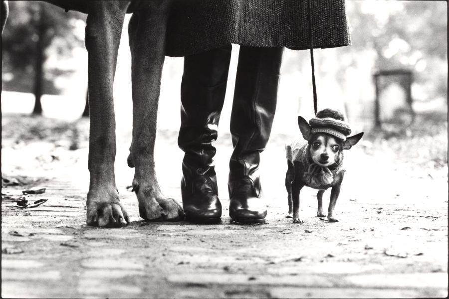 006 ELLIOTT ERWITT (*1928) New York City, 1974 37,2 x 55,5 cm, Silbergelatineabzug Startpreis: 3.000 € / Schätzpreis: 5.000–6.000 €