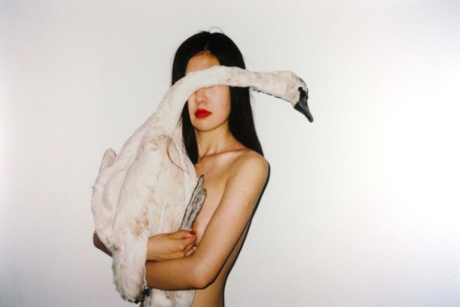 REN HANG (1987-2017) Ohne Titel, China 2010er © OstLicht Photo Auction 67 x 100 cm Preis: 60.000 €