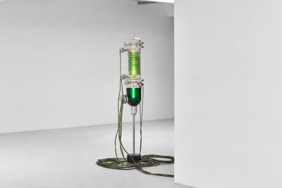 THOMAS FEUERSTEIN, SEMMEL, 2016, glass, aluminum, tubes, cable, Pump, led lighting, water, green algae (chlorella vulgaris), h = 200, Ø 40 cm