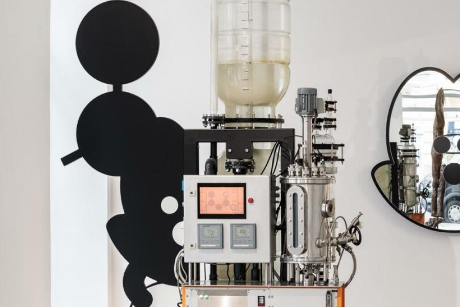 THOMAS FEUERSTEIN     MR. MOL     2020 - 2022     Bioreactor, steel, glass, plastic, pumps, fermenter technology, mirrors, MDF, paint     350 x 140 x 180 cm