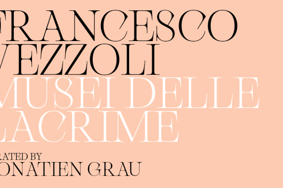 Francesco Vezzoli Musei delle Lacrime  Visita il Museo Correr