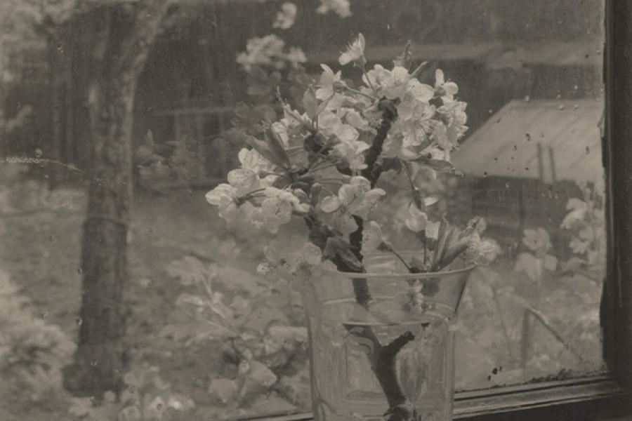 Josef Sudek o.T. (Okno Meho Atelier/ Das Fenster meines Ateliers), 1944–1953, Gelatinesilber-Kontaktabzug, 21,1 × 20,8 cm White Rose Bud, 1954, Silbergelatineabzug, 19,2 × 13,6 cm