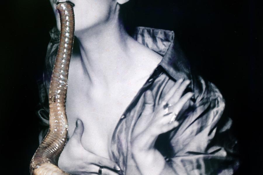 Penny Slinger, The Larvl Worm (Der Larvenwurm), 1969/2014 (c) Penny Slinger / VG Bild-Kust, Bonn 2024, Courtes of BLUM