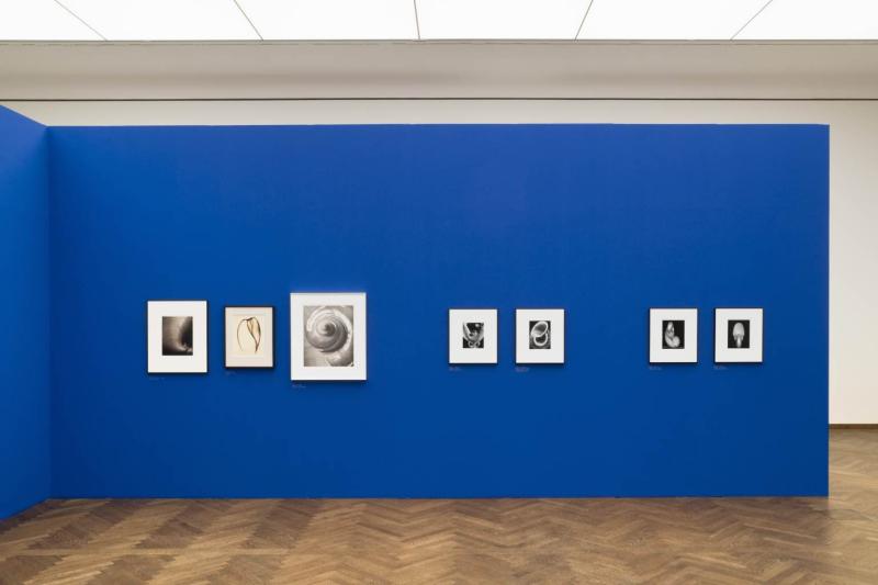 Exhibition View "Magic of the Object. Three Centuries of Photography" © Leopold Museum / Fritz Simak