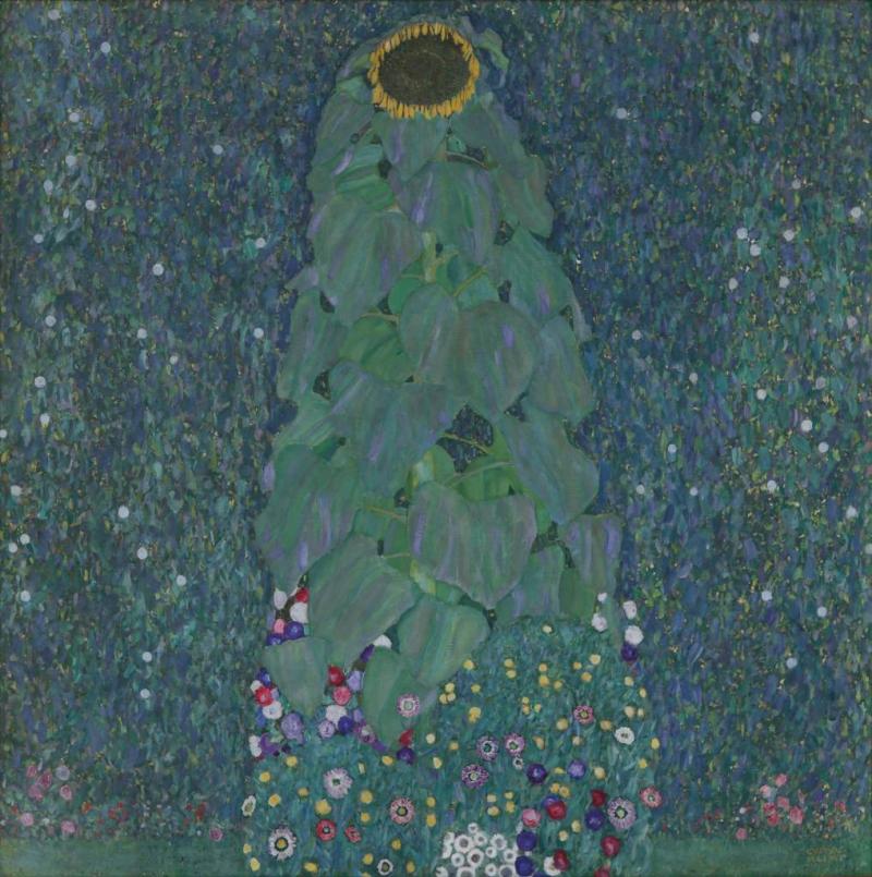 Gustav Klimt  Sonnenblume, um 1907  Öl auf Leinwand  110 x 110 cm   Belvedere, Wien   © Belvedere, Wien