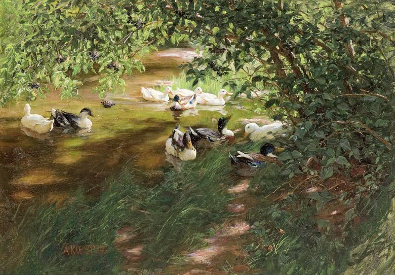 Abb. 87510: Alexander Koester, Enten auf dem Wasser. (Öl/Lw., H. 48,5, B. 68,5 cm), Limit 15.000 €, Zuschlag 15.500 €.